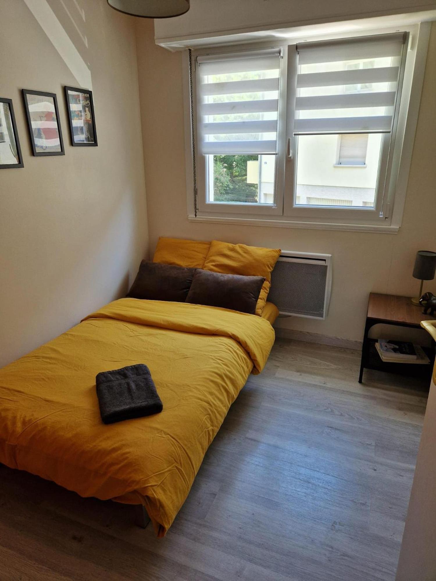 Robertsau Tres Bel Appartement Estrasburgo Exterior foto